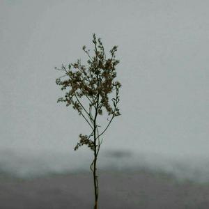 修女被❌❌吸乳
